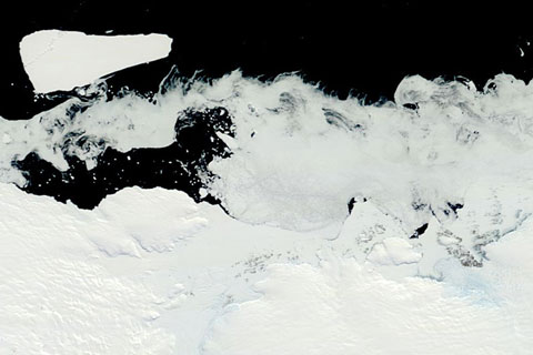 Polar Opposites: the Arctic and Antarctic