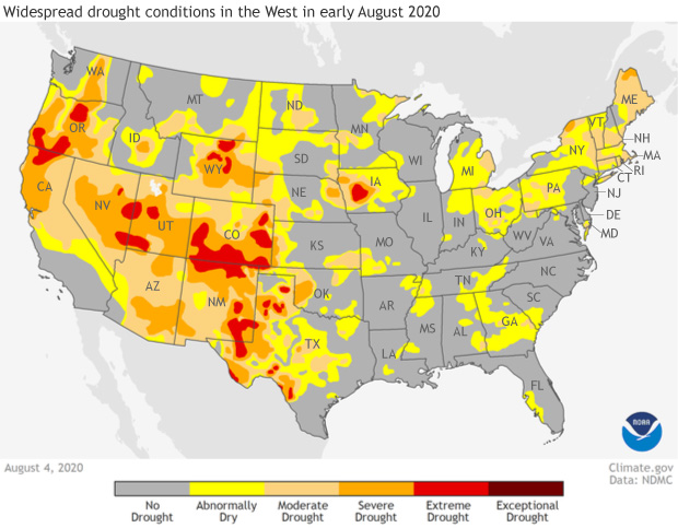 On average, July 2020 was relatively warm and wet across the United ...