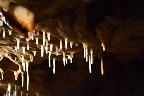 Picture Climate: What Can We Learn From Caves?