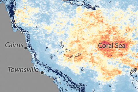 Second year of widespread bleaching underway on the Great Barrier Reef