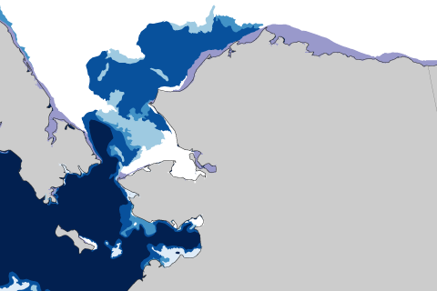 Low sea ice in the Chukchi Sea off Alaska