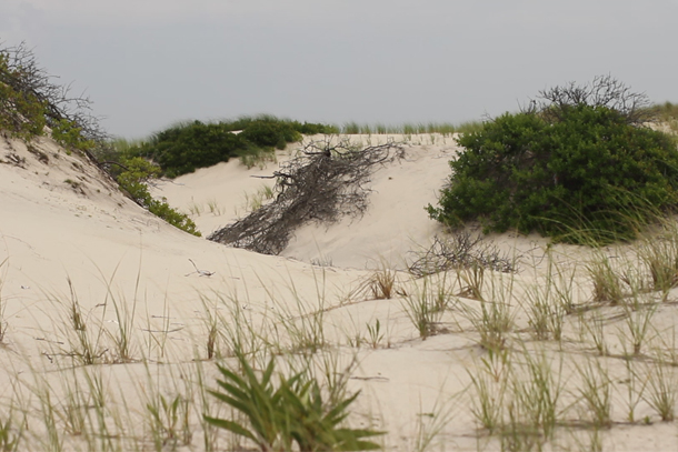 Beachfront Q&A: Talking about dunes, development, storms, and sea level rise