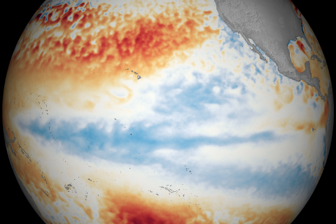 March 2021 ENSO update: fine feathered friends