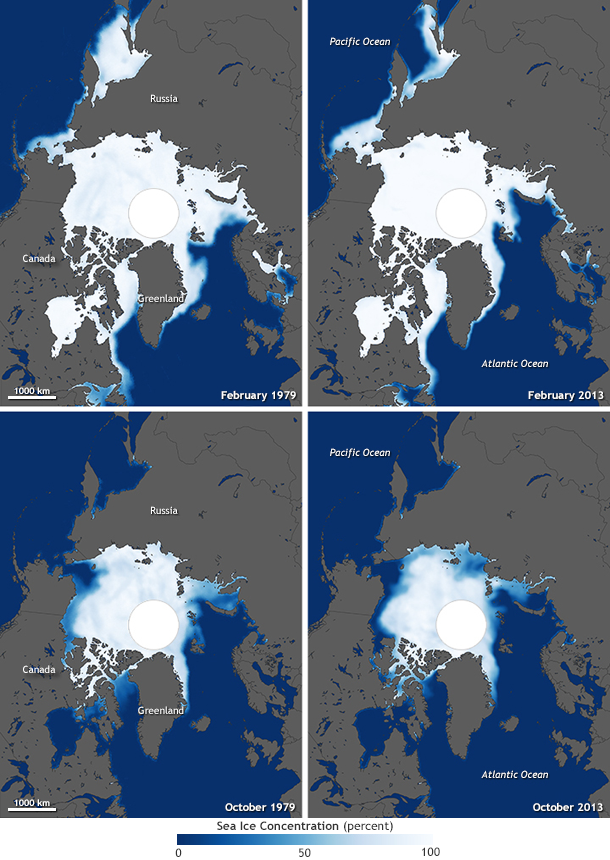 Arctic Sea Ice 1979 to 2013