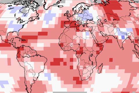 May 2020: Global temperatures tie for record hottest