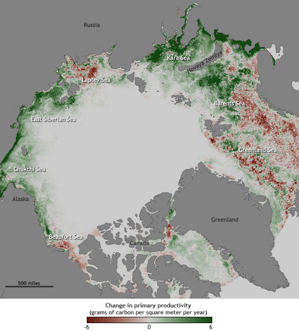 Sea Ice Declines Boost Arctic Phytoplankton Productivity | NOAA Climate.gov