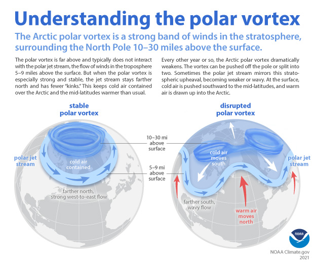 Understanding the Arctic polar vortex NOAA Climate.gov