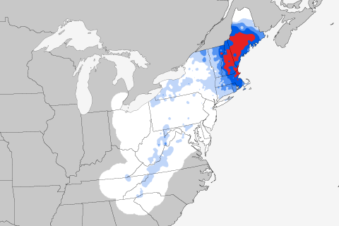 The 100-Hour Snowstorm of February 1969