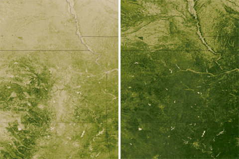 Plants as drought detectors in the U.S. Great Plains