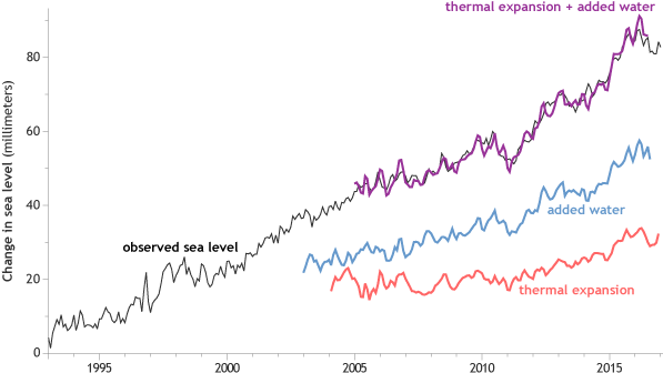 Laju peningkatan tinggi muka laut mencapai rekor tertinggi di tahun 2016. Estimasi independen menunjukkan bahwa air meningkat karena air meleleh dari gletser dan lapisan es (garis biru) ditambah ekspansi panas (garis merah) dari air laut saat menghangat (garis merah). Grafis NOAA Climate.gov
