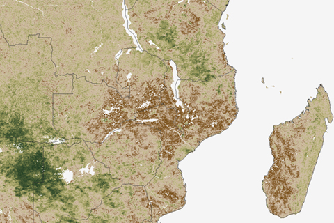 Southeastern Africa's topsy-turvy monsoon