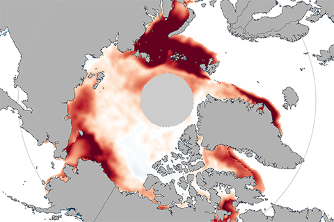 Global sea ice in November: Black swans flock to both poles