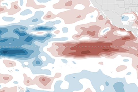 The life and death of El Niño