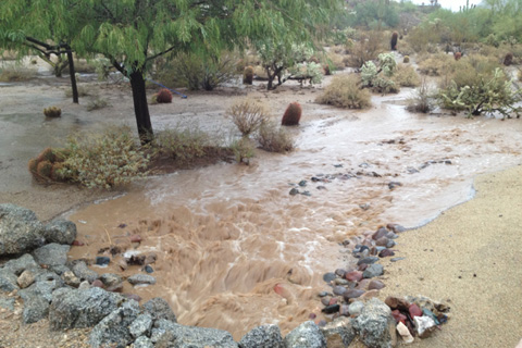 Record-breaking rain in Arizona