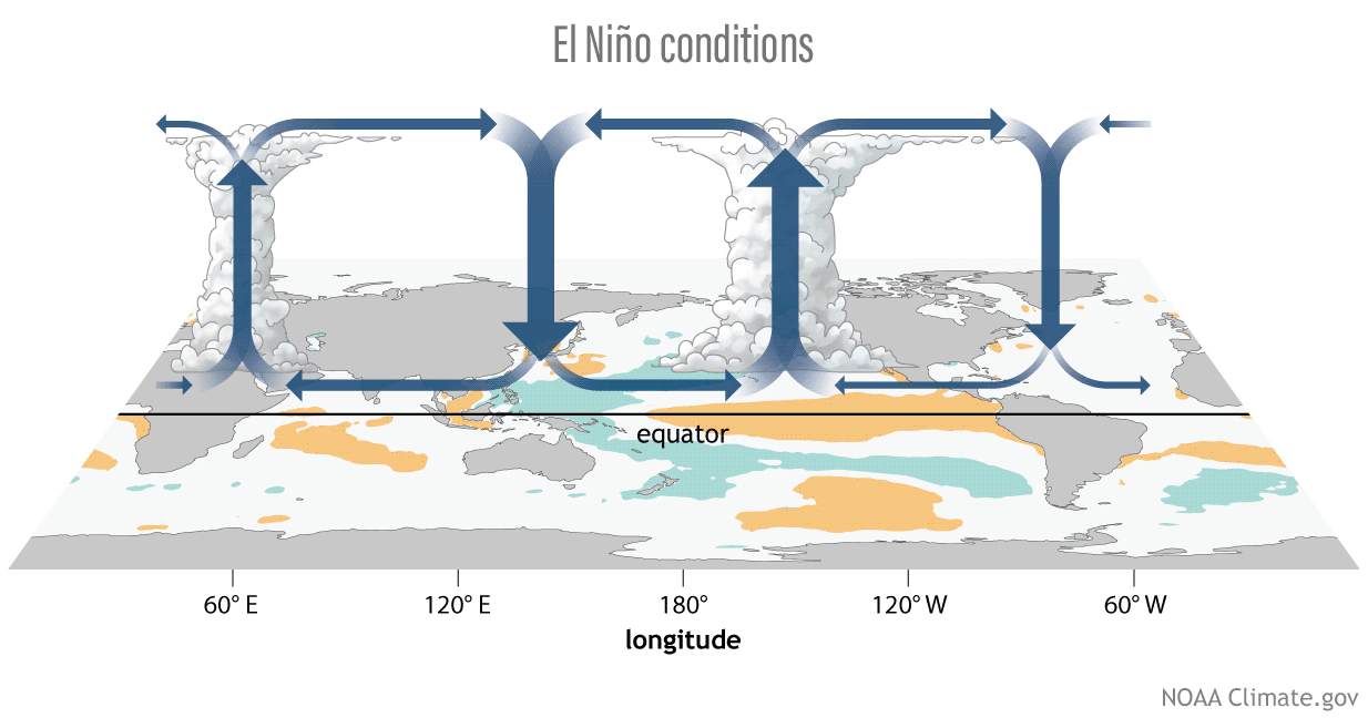 animated schematic of the changing positions of convection and subsidence associated with changes in the Walker Circulation