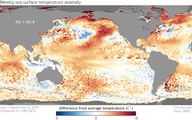 Animated maps of global ocean temperature anomalies from summer through fall 2018