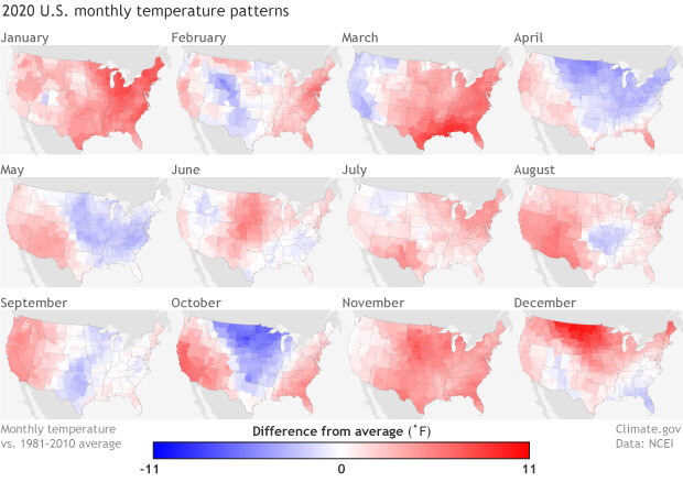 Monthly temperature anomalies maps