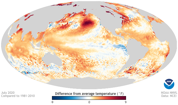 Sea surface temperature anomaly, July 2020