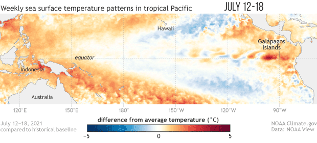 Animated gif of sea surface temperature anomalies in the tropical Pacific 