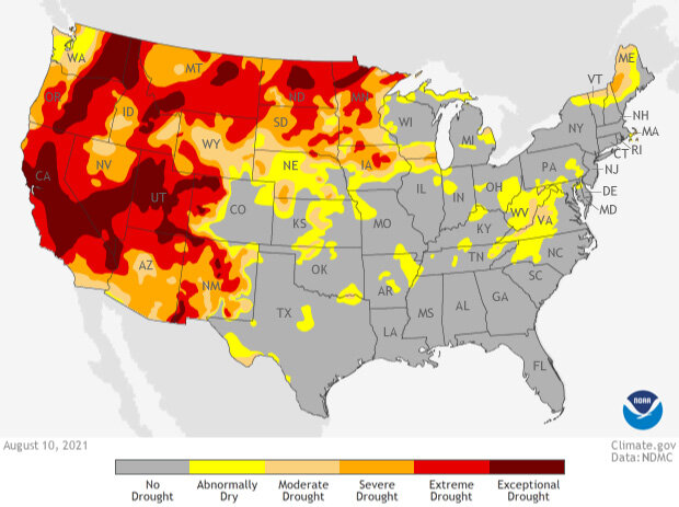 Map of US showing drought conditions as of August 10, 2021