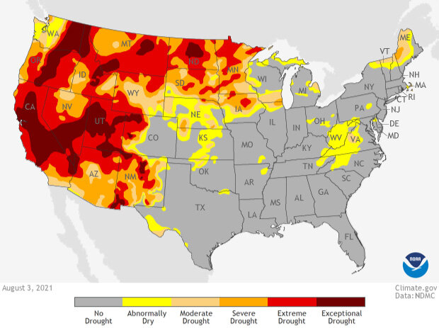 Map of drought across the contiguous U.S. on August 3, 2021