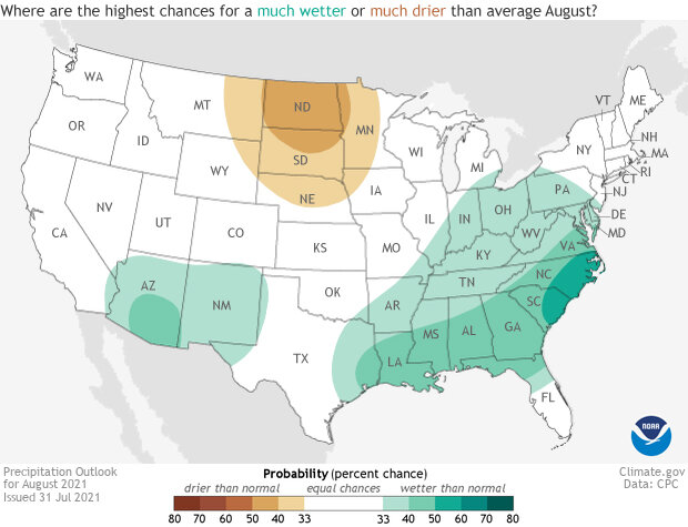 US precipitation forecast for August 2021