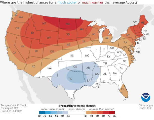 Map of US temperature forecast for August 2021
