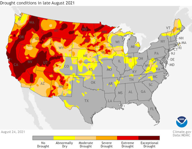 Map of contiguous U.S. showing drought status as of August 24, 2021
