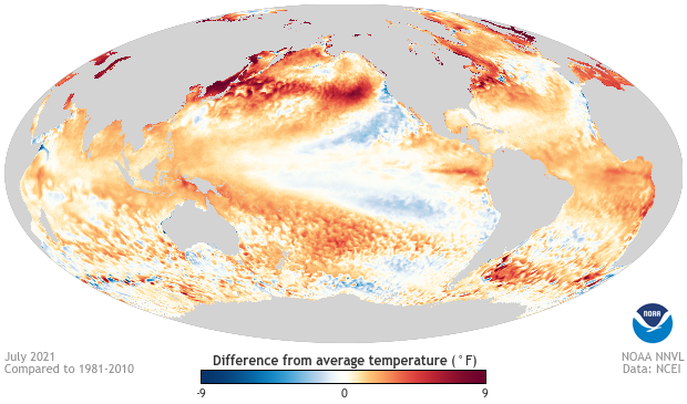 Global map of July 2021 sea surface temperature anomaly