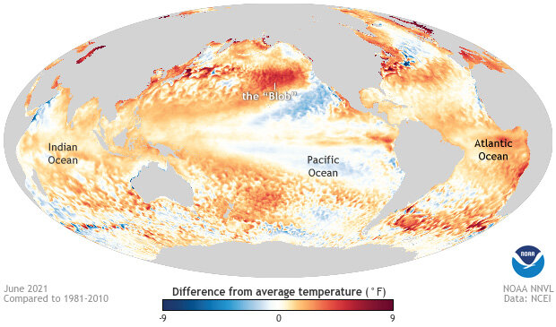Sea surface temperature anomaly map