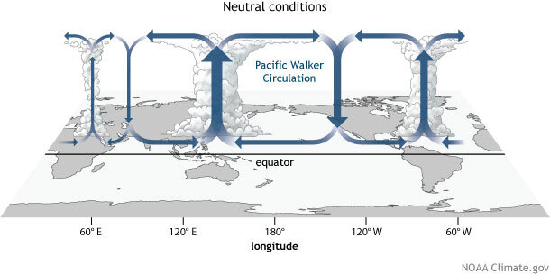 The Walker Circulation: ENSO's Atmospheric Buddy | NOAA Climate.gov