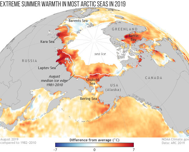 Map of Arctic showing sea surface temperature anomalies in August 2019