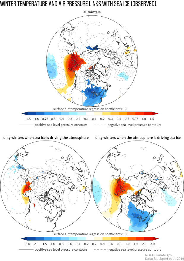 Surface temperature and sea level pressure anomaly maps