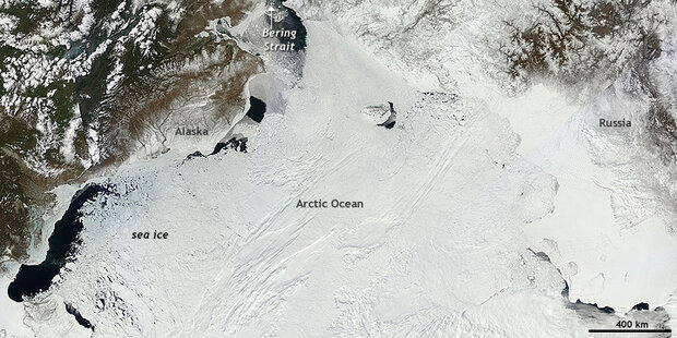 Northern Hemisphere sea ice
