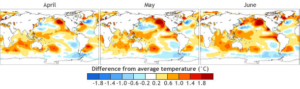 Trio of small global maps showing ocean surface temperature patterns in Apri, May, and June 2014
