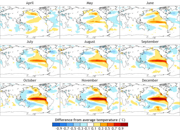 Three rows of small global maps showing the evolution of a typical El Niño from April through December