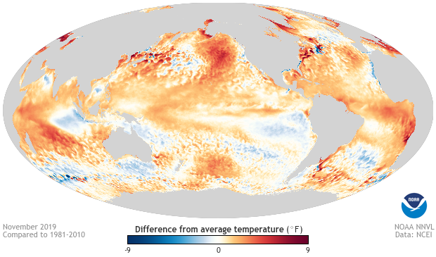 November 2019 sea surface temperature anomalies
