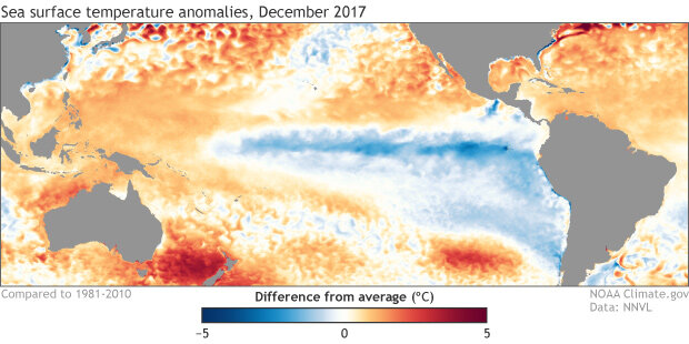 Sea surface temperature anomalies, December 2017