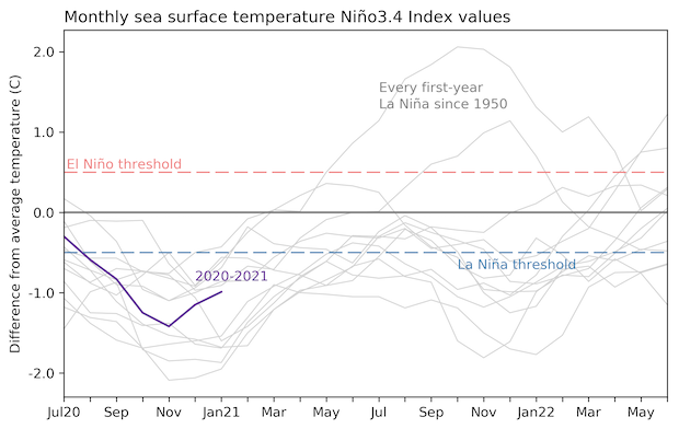 Monthly sea surface temperature in the Niño 3.4 region