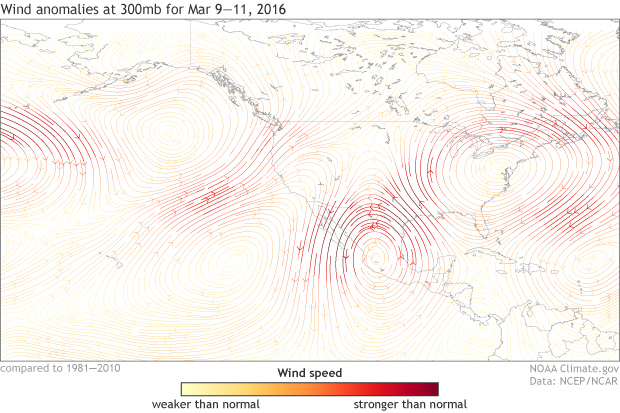 300mb averaged wind anomalies for March 9 - 11, 2016