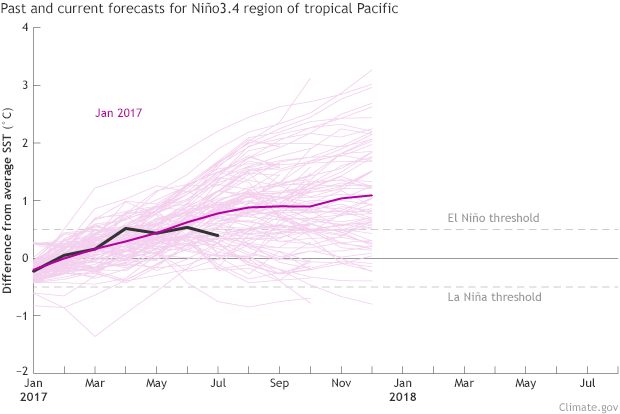Graph of Niño-3.4 Index forecasts from different climate models (light pink lines) within the North American Multi-Model Ensemble (NMME)