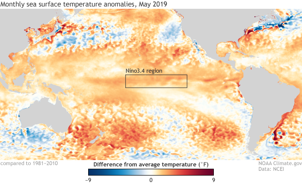 Image of sea surface temperature in May 2019 compared to the 1981–2010.