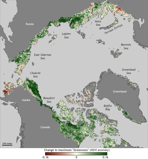 Map of changes in overall vegetation growth in the Arctic between 1982 and 2010.