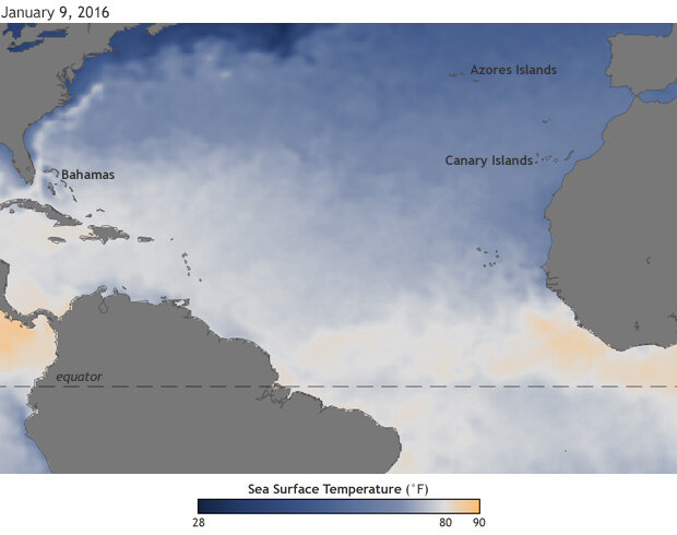Sea surface temperatures on January 9, 2016