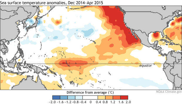 Map of North Pacific sea surface temperature anomalies during December 2014–April 2015
