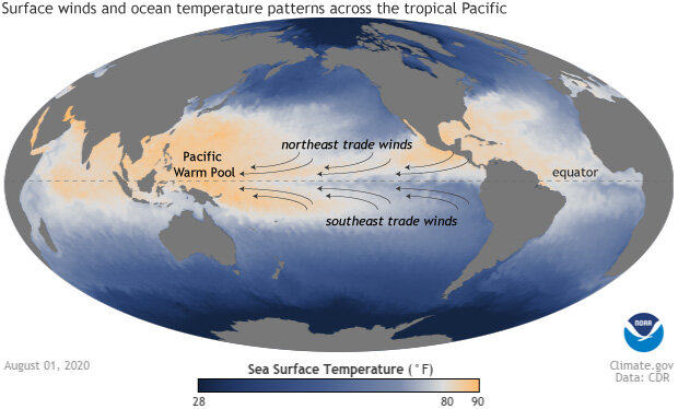 Surface winds and ocean temperature patterns across the tropical Pacific