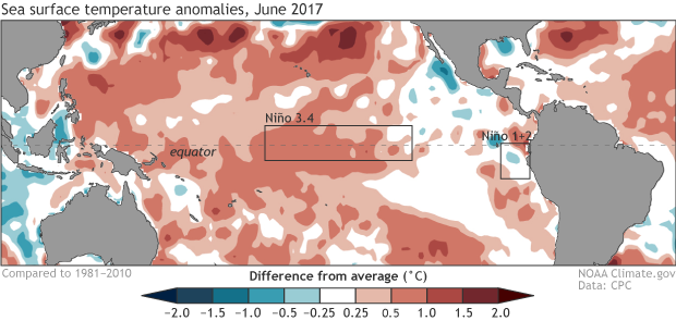 Sea surface temperature anomalies, June 2017