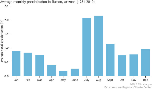 Graph showing monthly rainfall in inches averaged from 1981-2010 for Tucson, Arizona