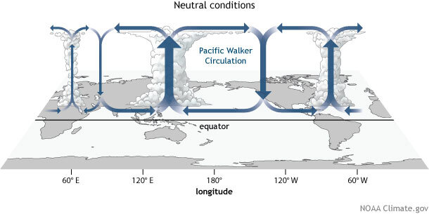 Schematic of the main parts of the Walker Circulation in the tropical Pacific during ENSO-neutral conditions
