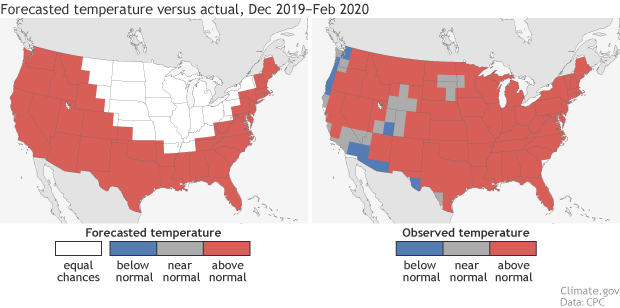 Maps of temperature forecast and temperature observation for December-February 2019-20